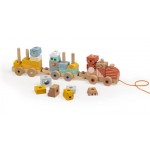 Pull Along Wooden Train Blocks - Eureka Kids