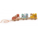 Pull Along Wooden Train Blocks - Eureka Kids