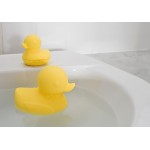 Silicone Duck Mum & Baby