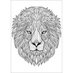 Mindful Colouring - Amazing Animals Mindful Colouring - Amazing Animals