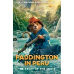 Paddington in Peru - by Anna Wilson