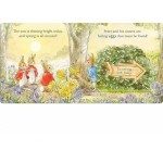 Peter Rabbit Easter Fun - Lift the Flap