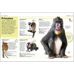 Pocket Eyewitness - Animals - DK Pocket Eyewitness - Animals - DK
