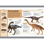 Pocket Eyewitness - Dinosaurs - DK Pocket Eyewitness - Dinosaurs - DK