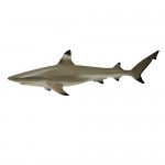 Shark Black Tipped Reef - CollectA 88726
