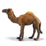 Camel Dromedary - CollectA 88208