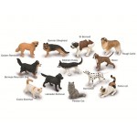 Collecta Box of Mini Pets - CollectA