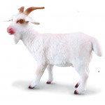 Goat Billy - CollectA 88212