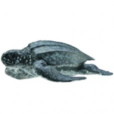Turtle Leatherback Sea - CollectA 88680