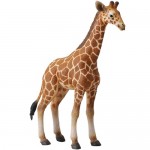 Giraffe Calf - CollectA 88535
