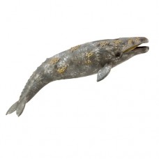 Whale Grey - CollectA 88836