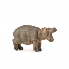 Hippopotamus Calf - CollectA 88090