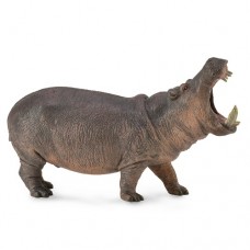 Hippopotamus - CollectA 88833