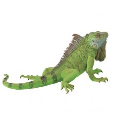 Iguana - CollectA 88965