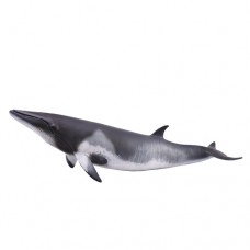 Whale Minke- CollectA 88862