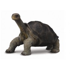Pinta Island Tortoise (Lonesome George) - CollectA 88619