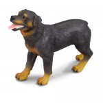 Dog - Rottweiler - CollectA 88189
