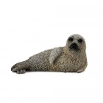 Seal Spotted Pup - CollectA 88681