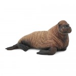 Walrus Calf - CollectA 88570 Walrus Calf - CollectA 88570