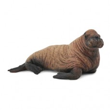 Walrus Calf - CollectA 88570 Walrus Calf - CollectA 88570