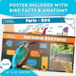 Build Your Own Bird Feeder - National Geographic