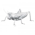 Metal Earth - Grasshopper