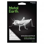 Metal Earth - Grasshopper