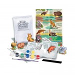 Mould & Paint - Australian Animal Magnets - 4M Craft