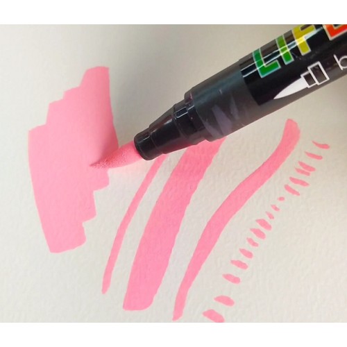 Paint Pens Metallic Brush Tip Acrylic Set of 12 Life of Colour