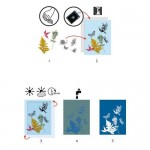 Cyanotype Starter Kit - Djeco