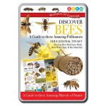 Discover Bees