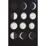 My Very Own Moon - Brainstorm