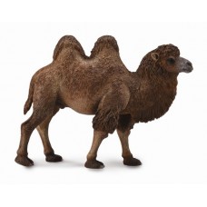 Camel Bactrian - CollectA 88807