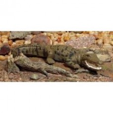 Crocodile Figurine