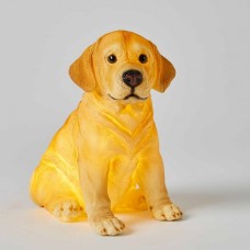 Nightlight Sculptured Labrador Dog - Jiggle & Giggle