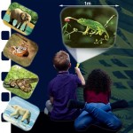 Torch Projector - Animals - Brainstorm