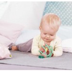 Apple Grab Toy - Hape Toys