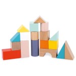 Pure Walker With Blocks - Janod COMING SOON