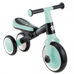 Globber Learning Trike 2 in 1 - Mint