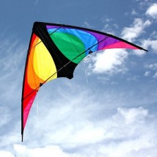 Kite Dual Control - Stinger  - Windspeed