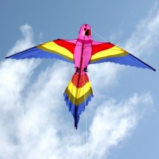 Kite - Lorikeet - Windspeed