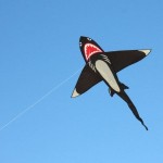 Kite - Shark - Windspeed