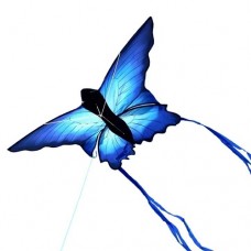 Kite - Butterfly Ulysses - Windspeed