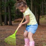 Garden Tools - Children's Rake Metal Leaf - Everearth