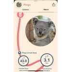 Fahlo Animal Tracker - Koala Plush 