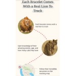 Fahlo Animal Tracker - Lion Plush