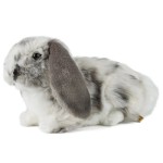Rabbit Dutch Lop-Eared Grey Plush Toy