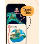 Fahlo Animal Tracker - Sea Turtle Plush