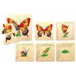 Lifecycle of a Butterfly - Wooden Layer Puzzle