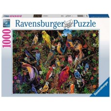 1000 pc Ravensburger Puzzle - Birds of Art